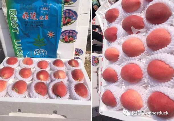 ���h���R�����ҵĜ���ë�����˟���