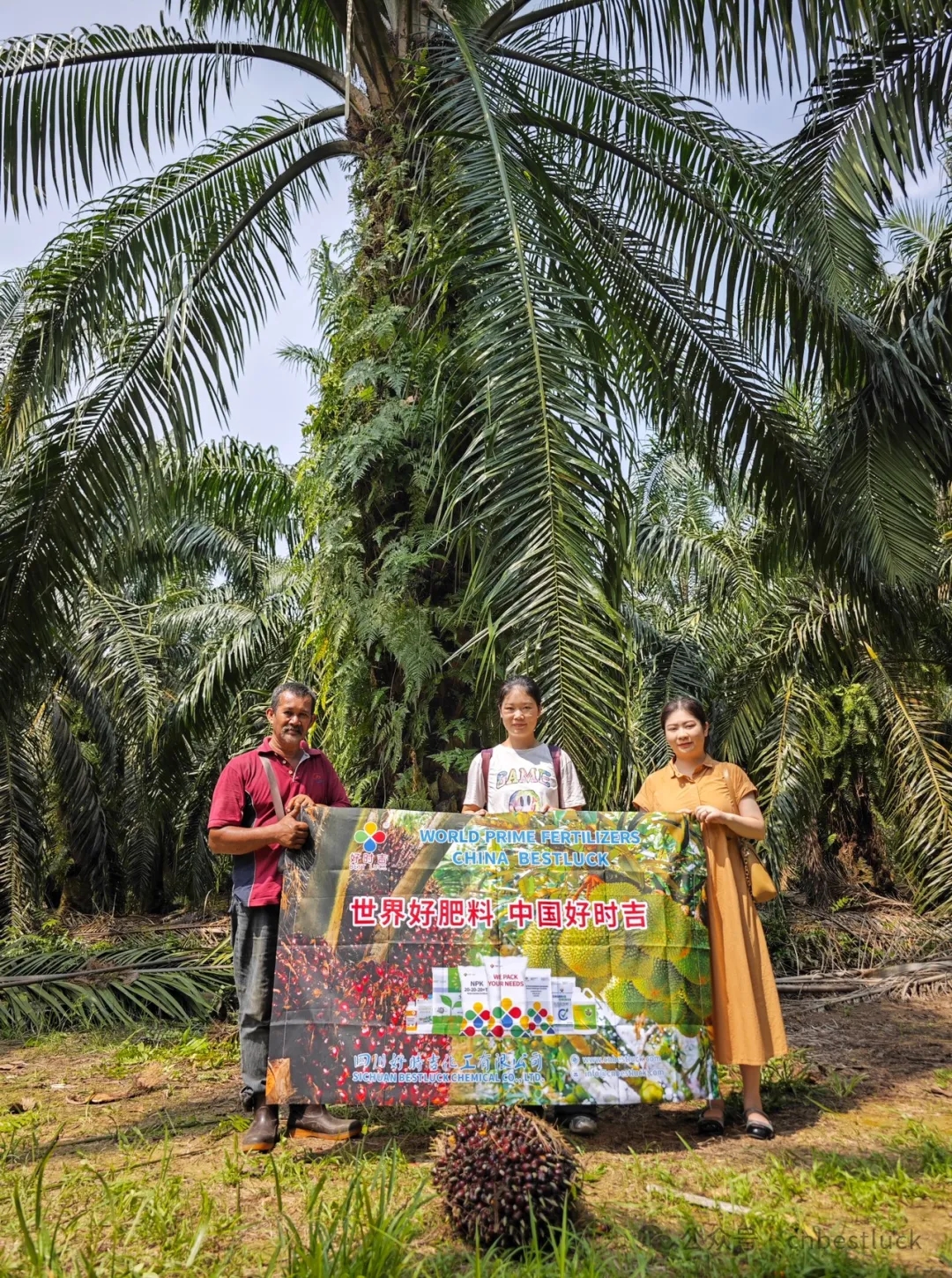 Use Cases in Malaysia