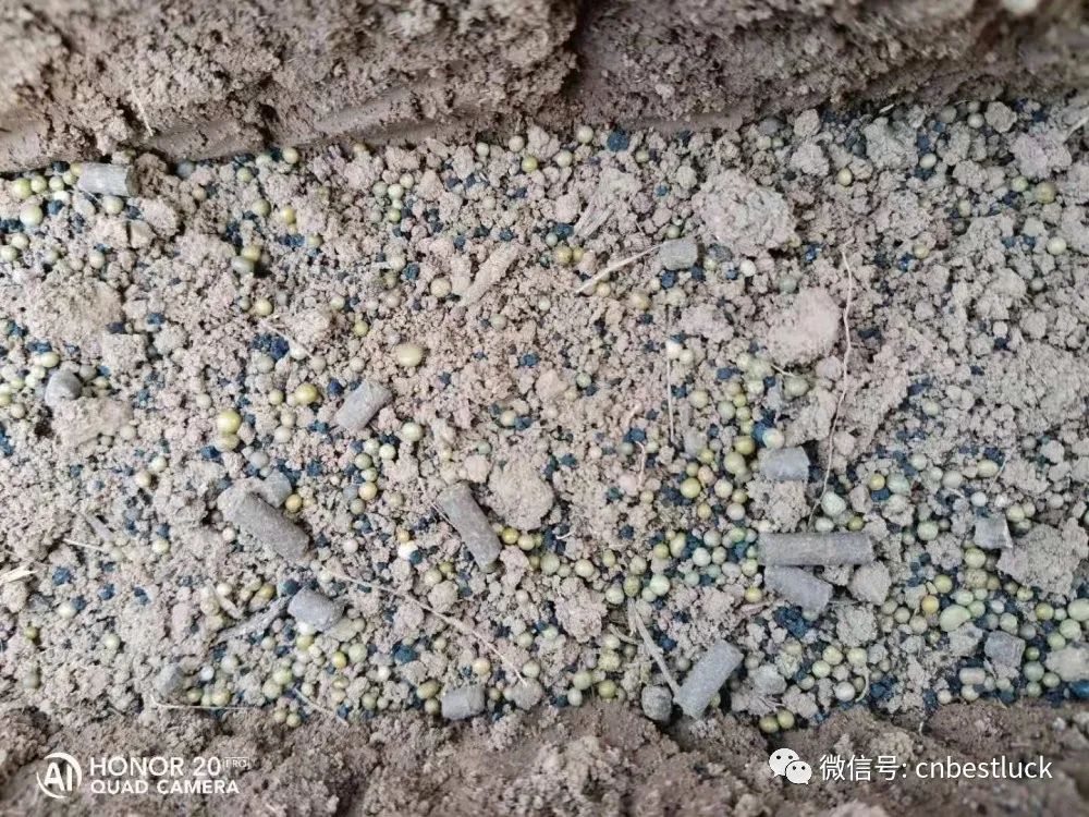 ���r�M����Ч���ܸܵģ�