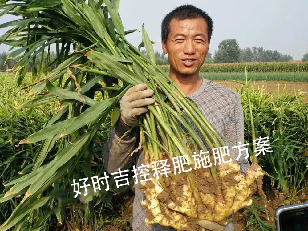 ���r�M����Ч���ܸܵģ�