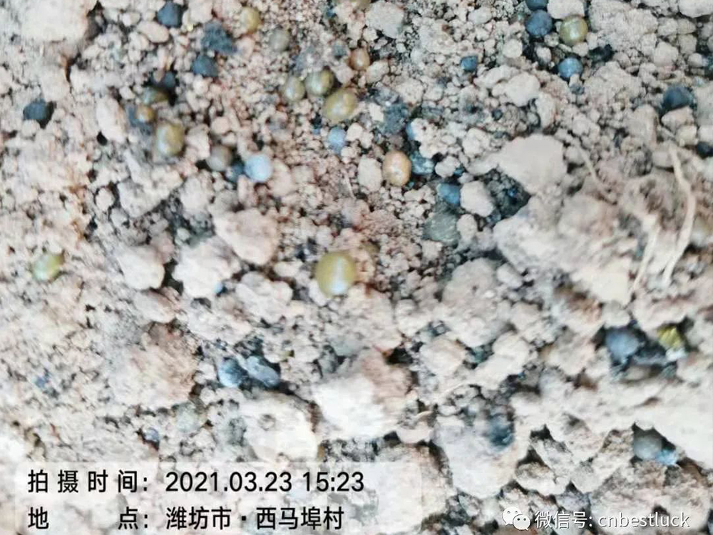 ���r�M����Ч���ܸܵģ�