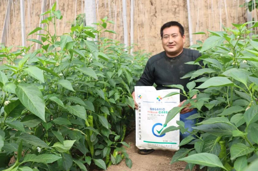 �ЙC̼ˮ�ܷ�ʹ��Ч��