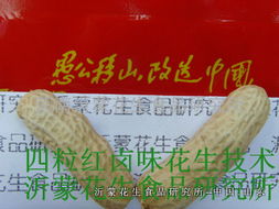 四粒紅鹵味花生技術轉讓全攻略 掌握核心工藝，開啟創業之路